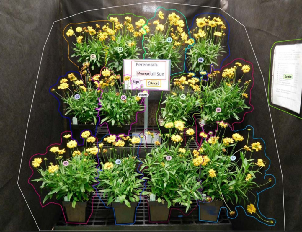 Display complexity and visual processing of horticultural retail displays